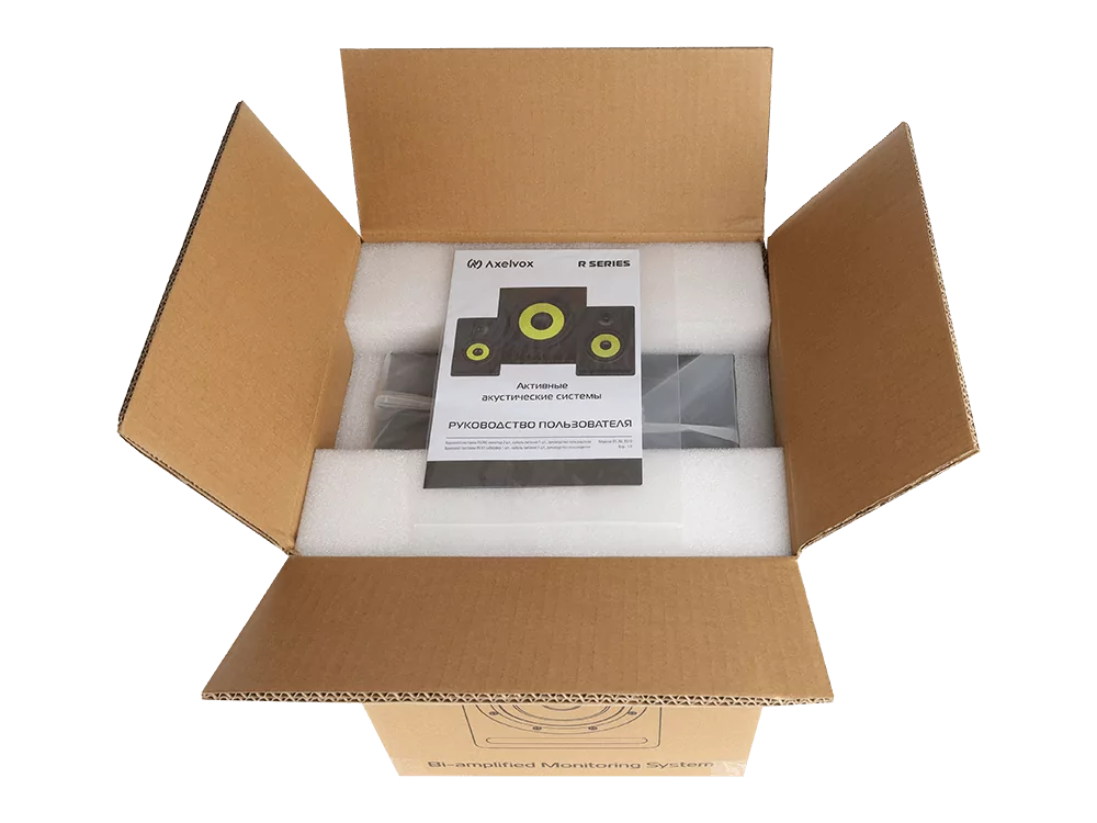 Акустическая система Axelvox R6 10