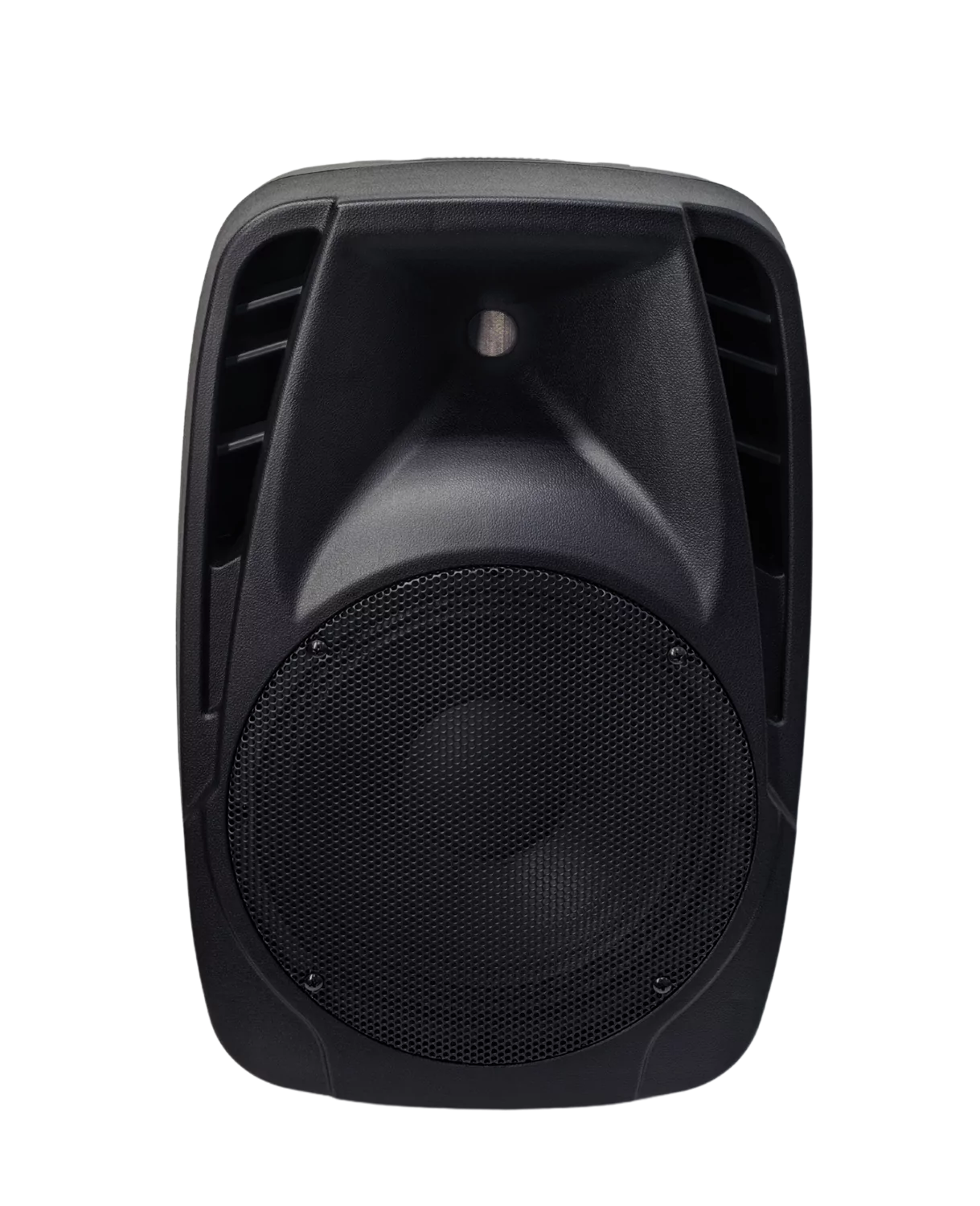 Акустическая система Axelvox LoudStage XIVA PA10 14