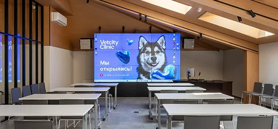 Оборудование AUVIX в мультимедийном комплексе ветеринарной клиники Vetcity Clinic