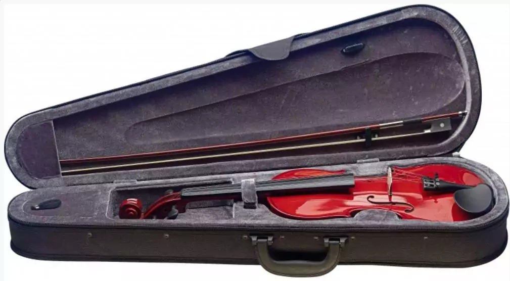 Скрипка STAGG VN-4/4 TR 3