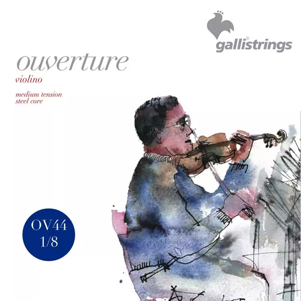 Комплект струн GALLI STRINGS OV44
