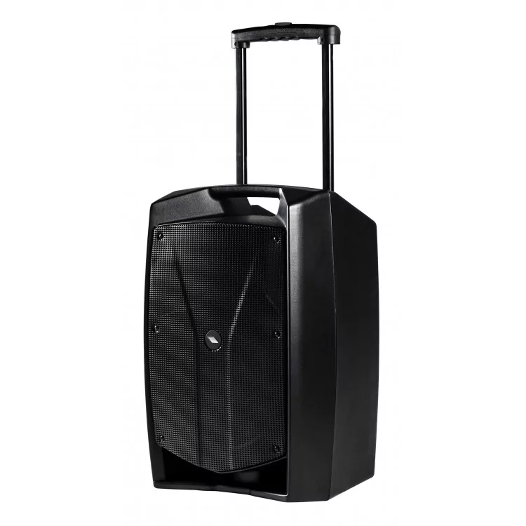 Активная акустическая система PROEL V12FREE 4