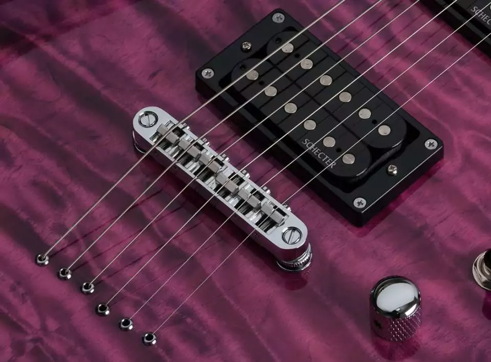 Электрогитара SCHECTER C-6 PLUS EM 2