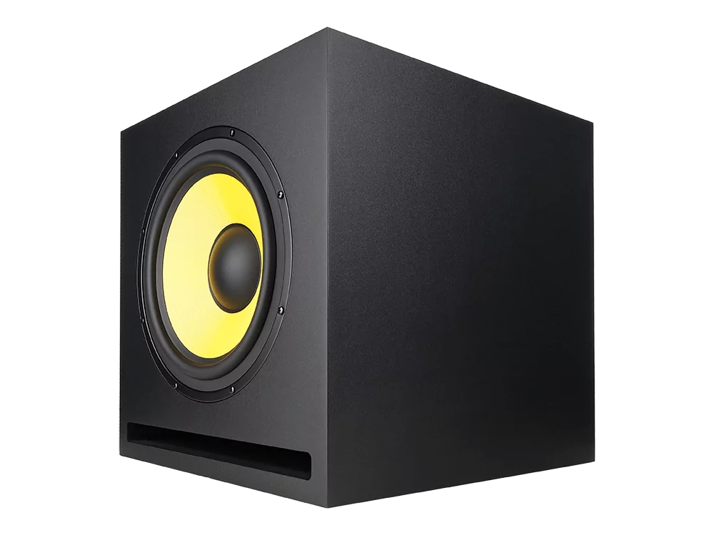 Акустическая система Axelvox RS10 11