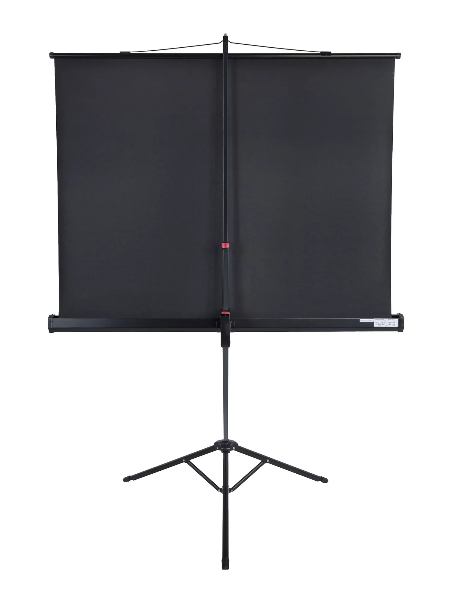 [LMV-100113] Экран на штативе Lumien Master View 4