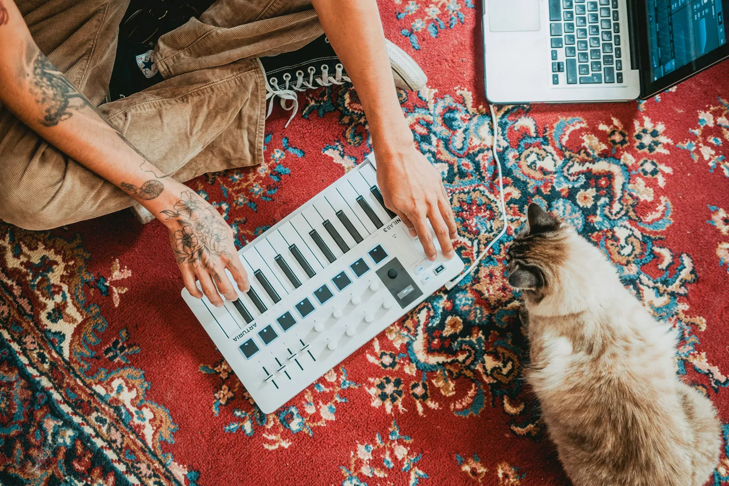 MIDI клавиатура Arturia MiniLAB 3 22