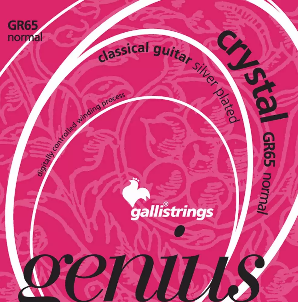 Комплект струн GALLI STRINGS GR65