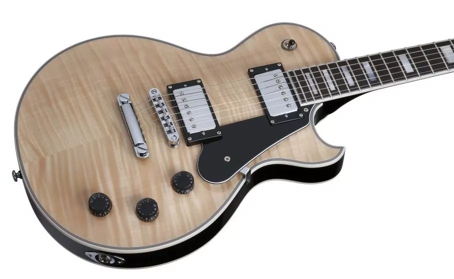 Электрогитара SCHECTER SOLO-II CUSTOM GNAT/BLK 4