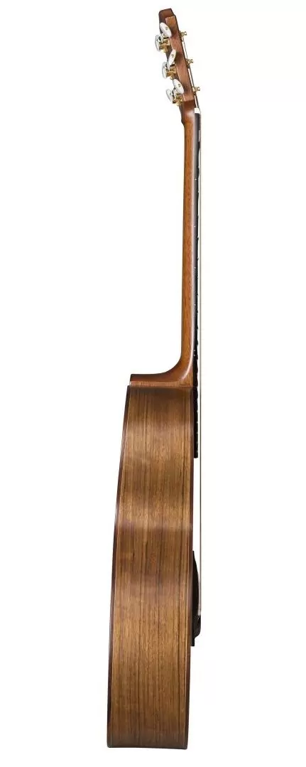 Акустическая гитара BATON ROUGE AR31S/JC-AM 3