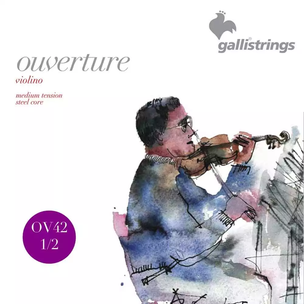 Комплект струн GALLI STRINGS OV42