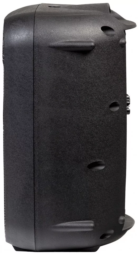 Активная акустическая система ITALIAN STAGE SPX10A 4