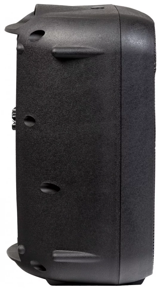 Активная акустическая система ITALIAN STAGE SPX08AUB 4