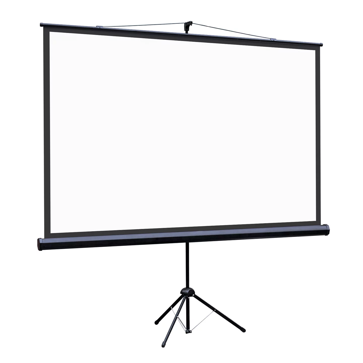 [LEV-100115] Экран на штативе Lumien Eco View