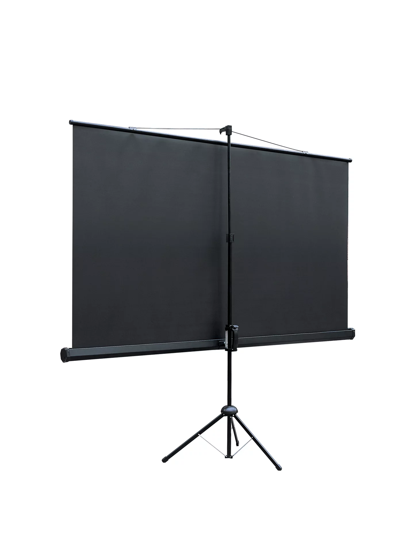 [LEV-100115] Экран на штативе Lumien Eco View 2