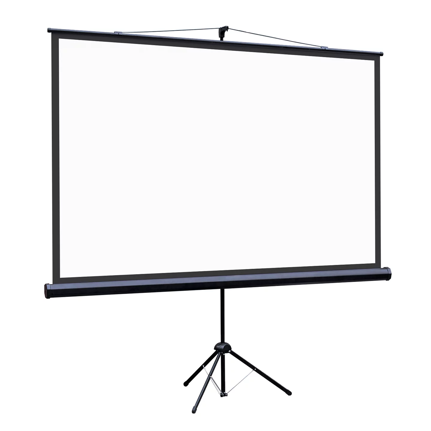 [LEV-100113] Экран на штативе Lumien Eco View