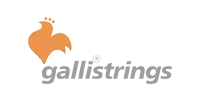 GALLI STRINGS