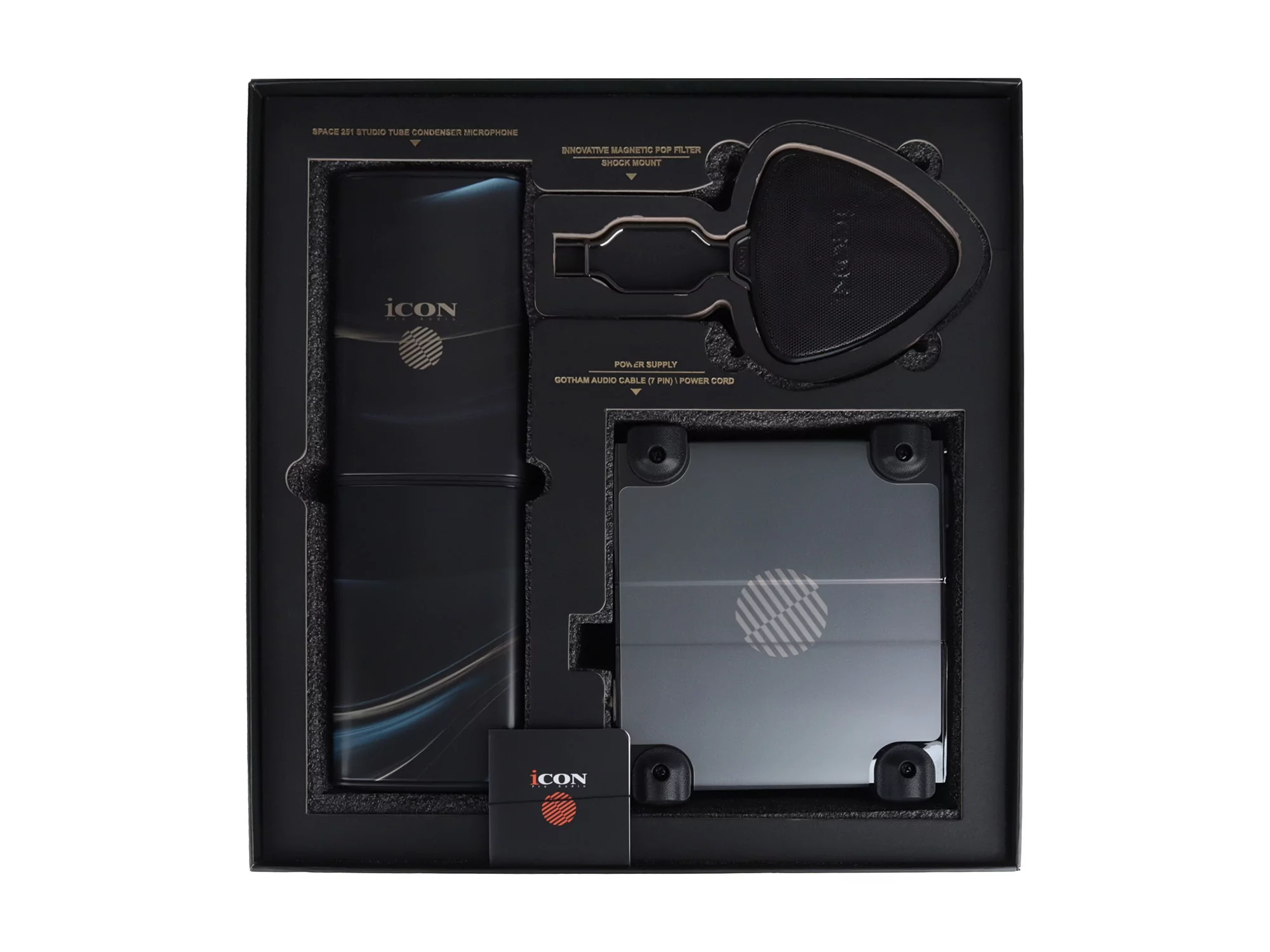 Профессиональный студийный ламповый микрофон Icon Space 251 6