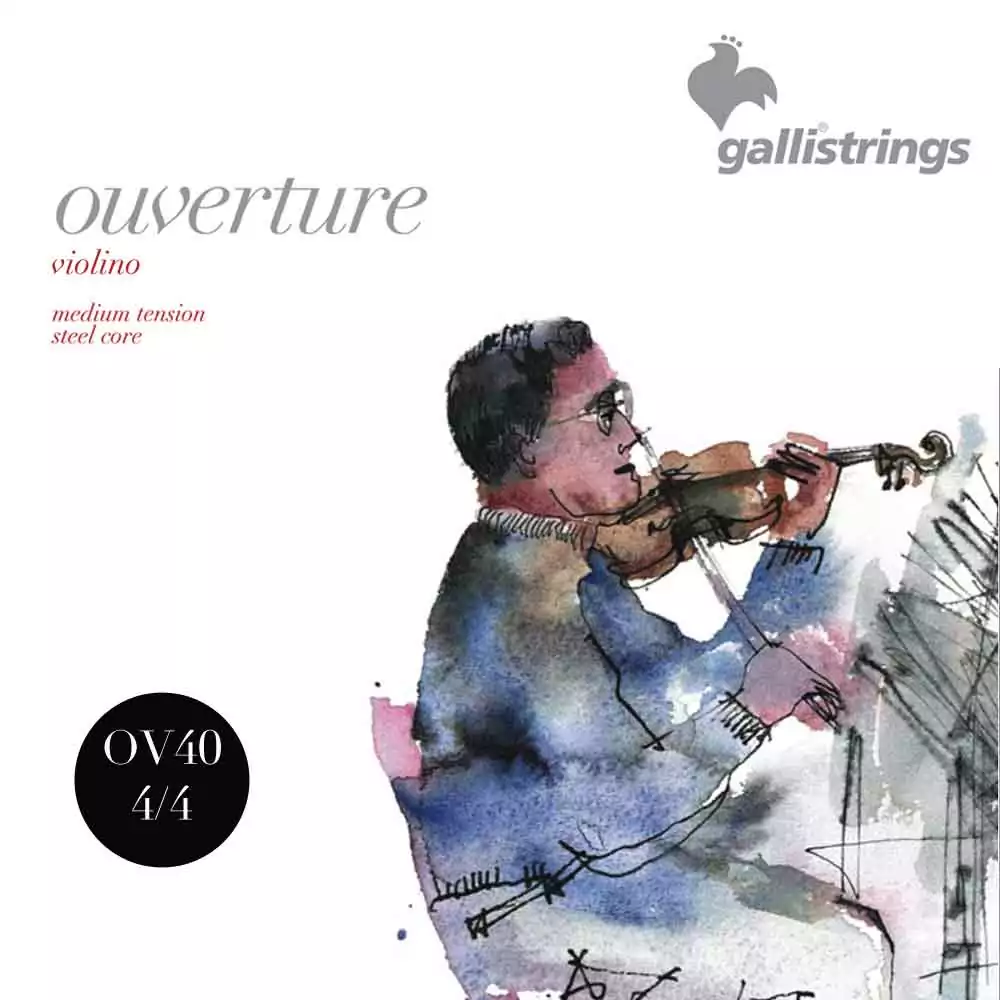 Комплект струн GALLI STRINGS OV40