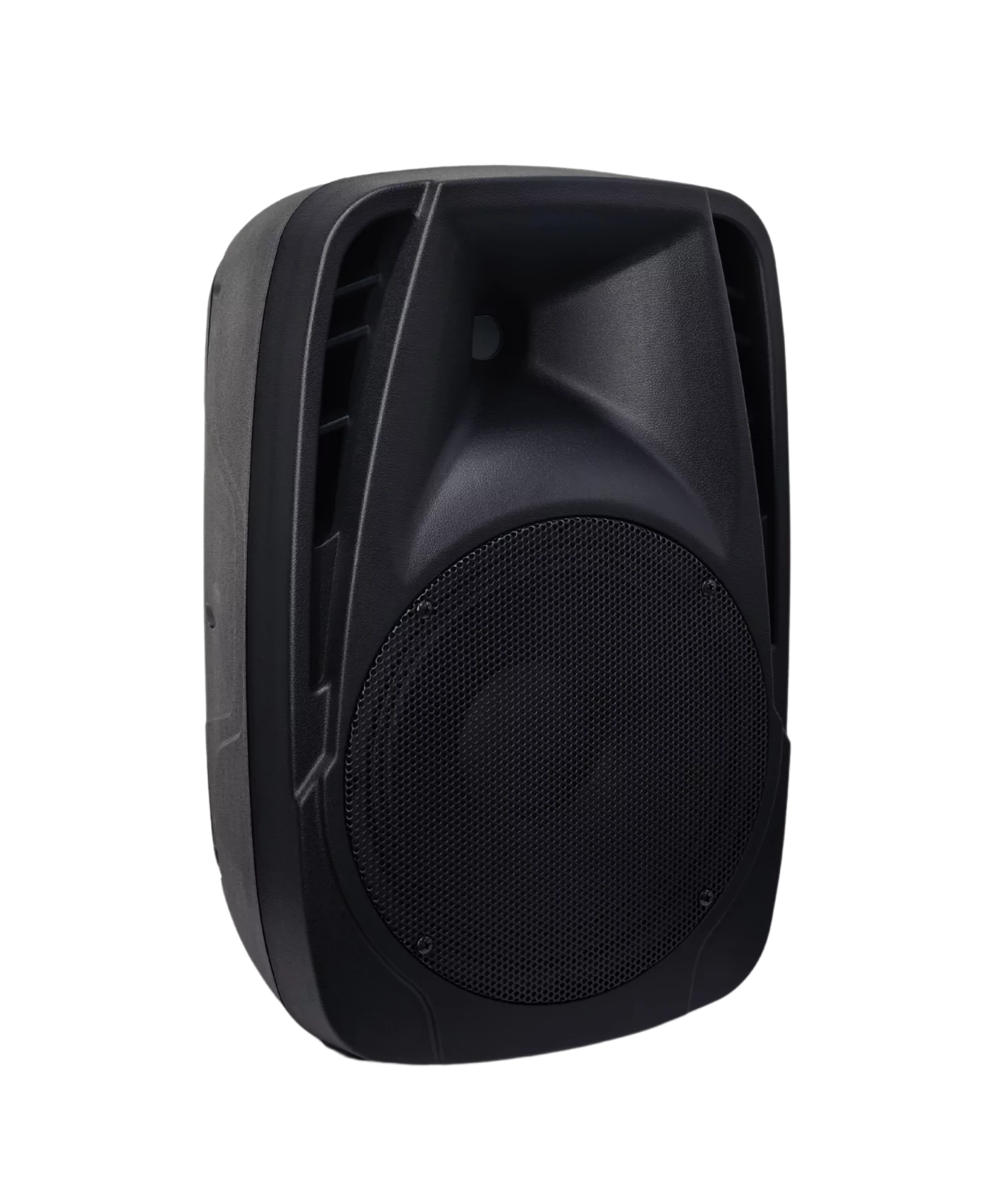 Акустическая система Axelvox LoudStage XIVA PA10