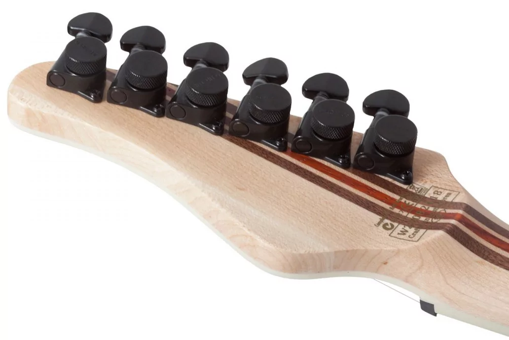 Электрогитара SCHECTER PT SLS ELITE BLOODBURST BB 8