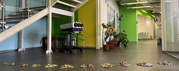 Собираем батарейки и спасаем лес. Давайте с нами!