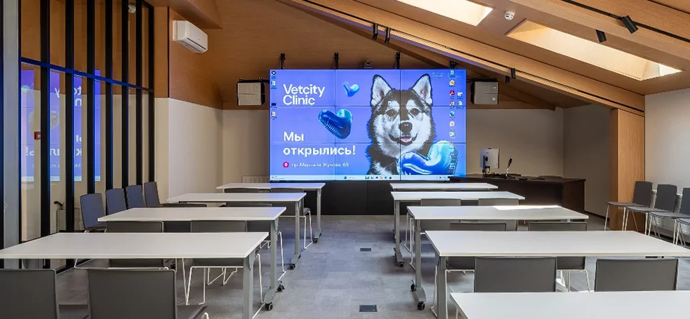 Оборудование AUVIX в мультимедийном комплексе ветеринарной клиники Vetcity Clinic