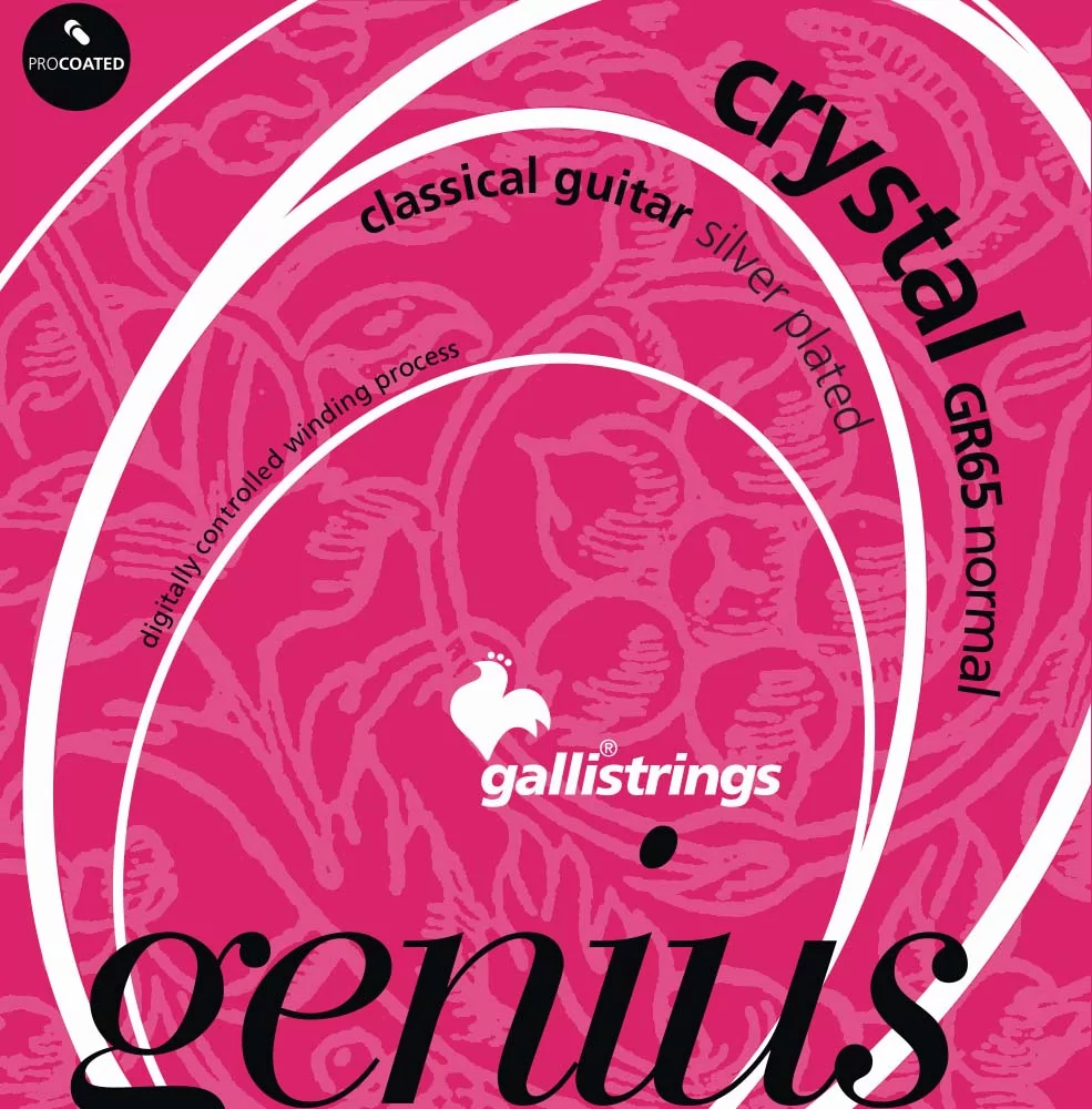 Комплект струн GALLI STRINGS GR65