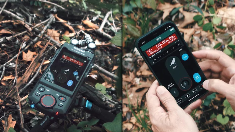 Рекордер мобильный Tascam Portacapture X8 13