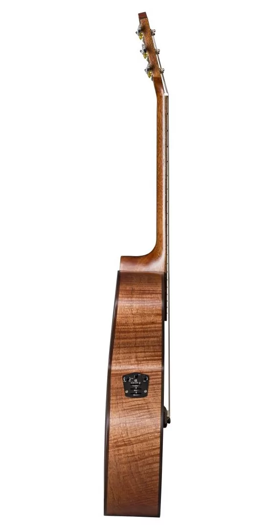 Электроакустическая гитара BATON ROUGE X61C/FJEC-N 3