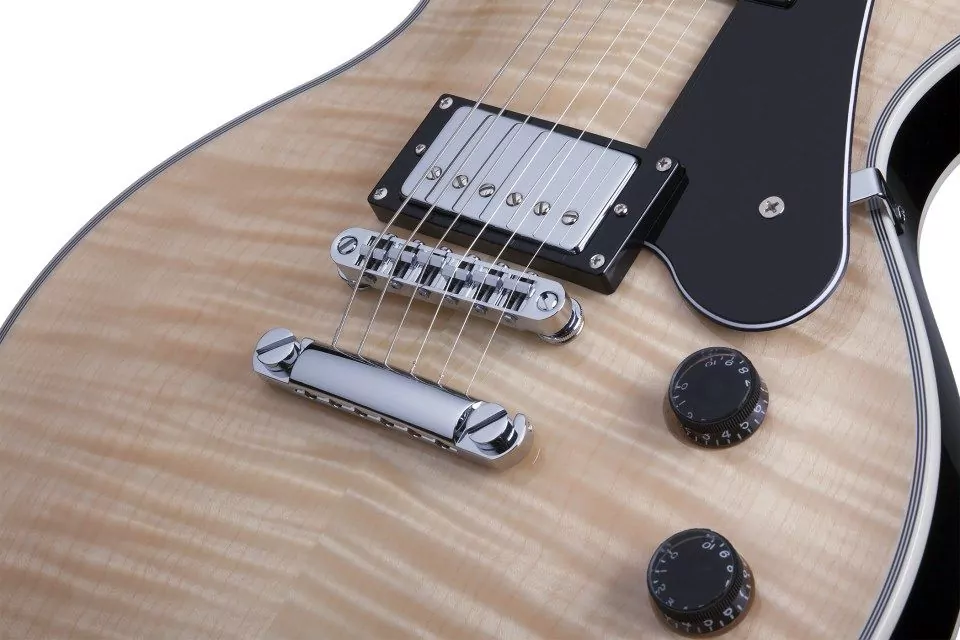 Электрогитара SCHECTER SOLO-II CUSTOM GNAT/BLK 5