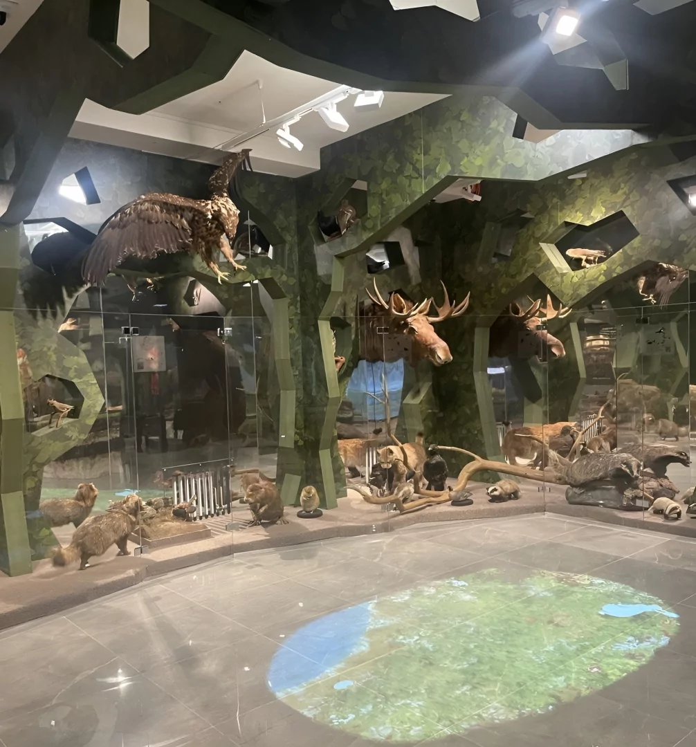 1. Интерактивный проекционный пол. Егорьевский историко-художественный музей.jpg