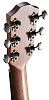 Акустическая гитара BATON ROUGE X11C/D 6