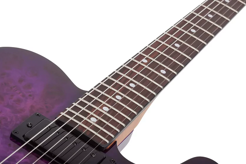 Электрогитара SCHECTER PT STANDARD PURPLE BURST BURL PBB 9