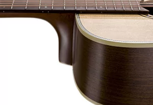 Акустическая гитара BATON ROUGE X34S/D-12 6