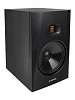 Акустическая система (студийный монитор) Adam T8V 10