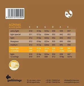 Комплект струн GALLI STRINGS AGP0945-12 2