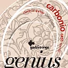 Комплект струн GALLI STRINGS GR95