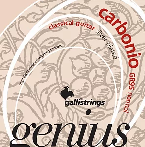 Комплект струн GALLI STRINGS GR95
