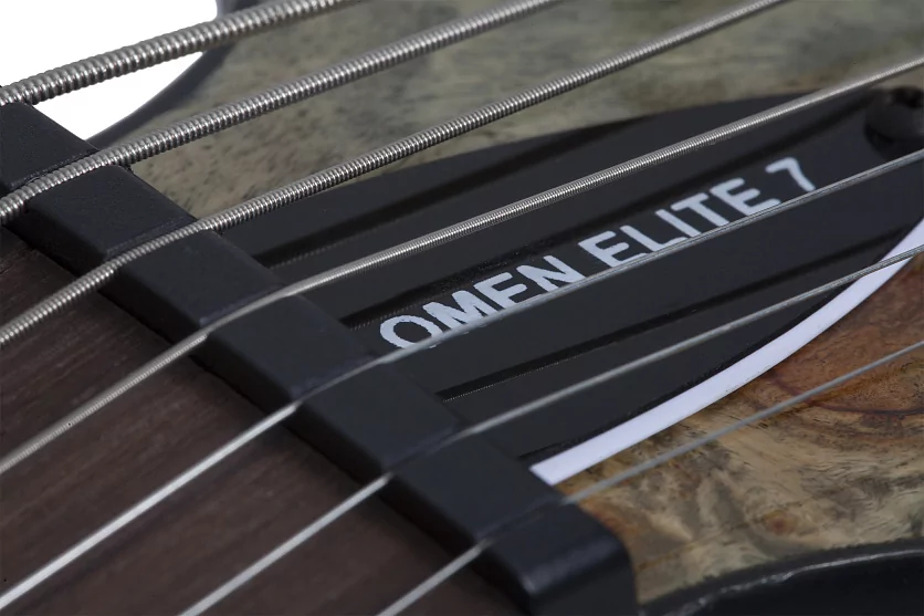 Электрогитара SCHECTER OMEN ELITE-7 CHAR 11