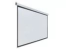 [LEP-100114] Настенный экран Lumien Eco Picture 2