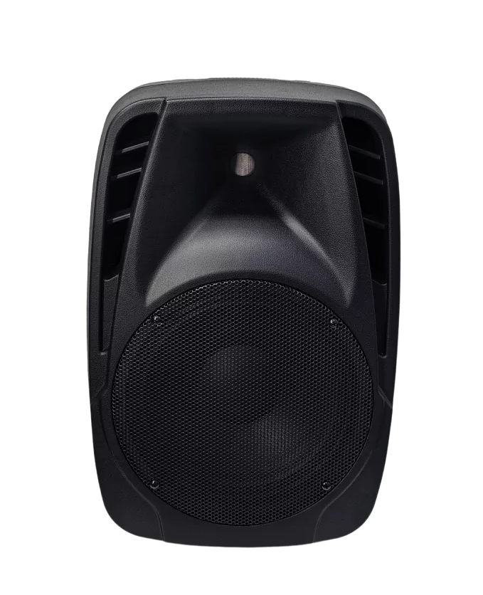 Акустическая система Axelvox LoudStage XIVA PA10 14