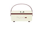Моделирующий усилитель Hotone Pulze Jr. WH 5