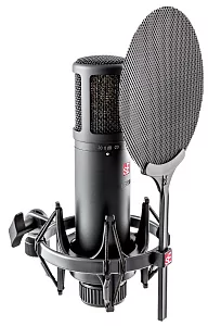 Микрофон конденсаторный sE Electronics SE 2200 2