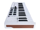 MIDI клавиатура Arturia MiniLAB 3 37 White 10