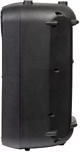 Активная акустическая система ITALIAN STAGE SPX10AUB 3