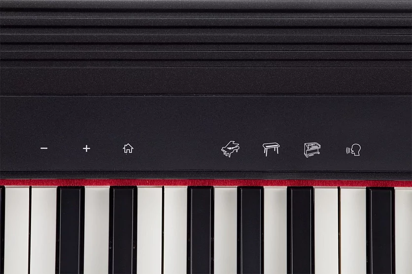 Портативное цифровое пианино ROLAND GO:PIANO 11