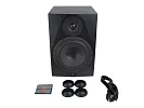 Акустическая система (студийный монитор) Icon DT-8S 7