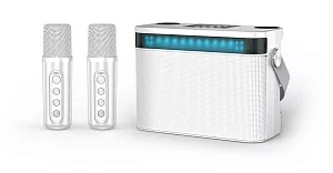 Переносная караоке система iconBIT K902W