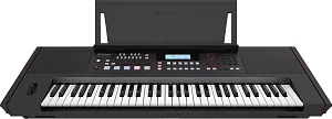 Синтезатор ROLAND E-X50 2