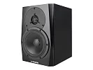 Акустическая система (студийный монитор) Dynaudio LYD 5 B/B 12